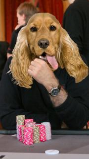 Rex Dogman