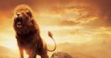 Lion rugit2
