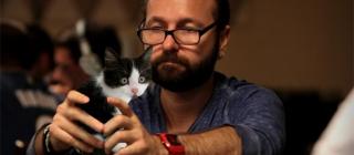 Negreanu et un chaton