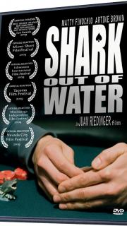 shark out of water