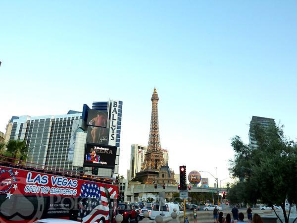 vegas 37006
