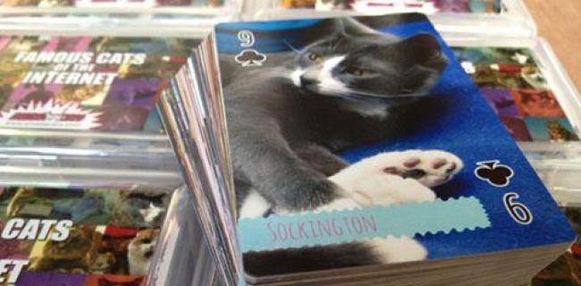 Un jeu de cartes à jouer illustrées par des chats pour une association caritative, la Stray Cat Alliance