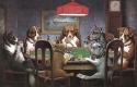 chiens jouant au poker