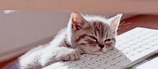 chat ennui
