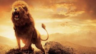 Lion qui rugit, symbole de la force