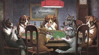 chiens jouant au poker