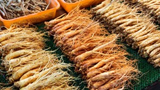 ginseng rouge