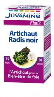 artichaut radis noir