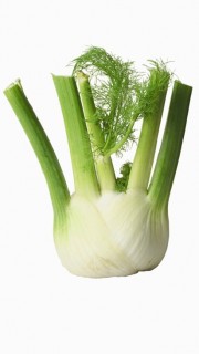 Fenouil