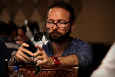 Negreanu et un chaton2