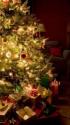 sapin noel