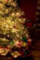 sapin 35001