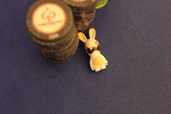 Protecteur de cartes Lapin crétin