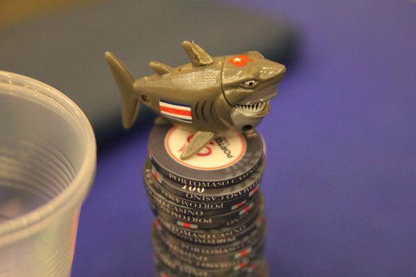 Protecteur de cartes requin