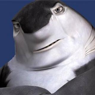 team-sharks-cops