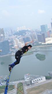 elky saut