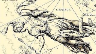 Cepheus