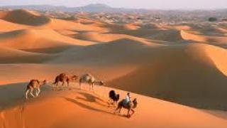 maroc8