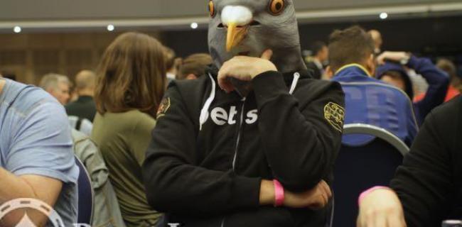 pigeon poker2
