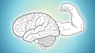 Dessin représentant un cerveau qui se muscle.