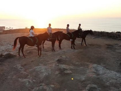 Tour de cheval à Malte