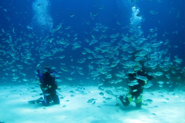 Plongée Atlantis Gozo